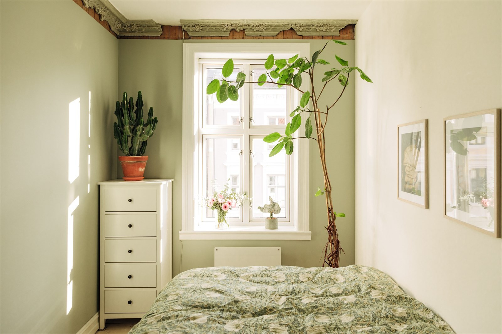 chambre murs verts décoration scandinave