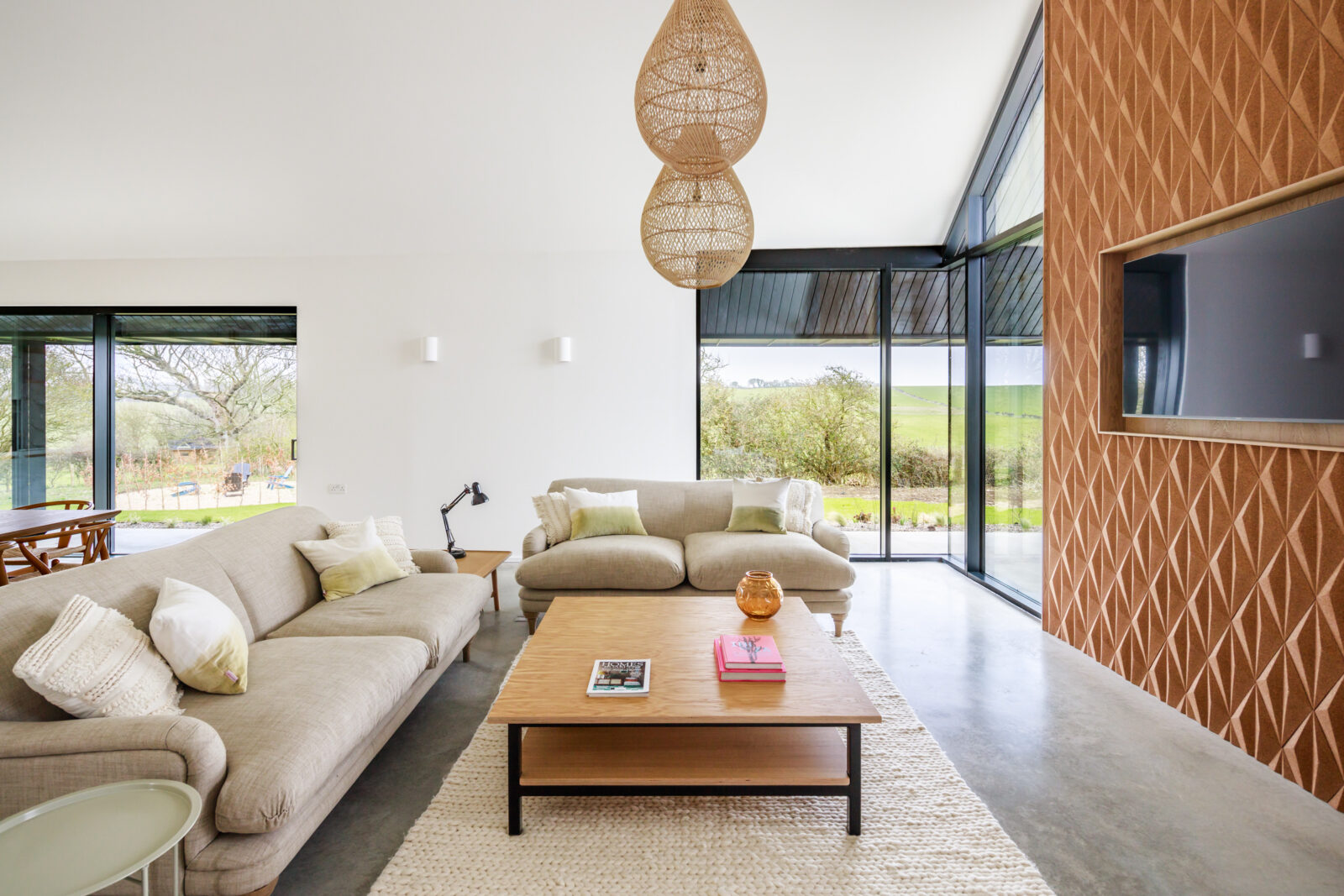 salon décoration naturelle maison contemporaine