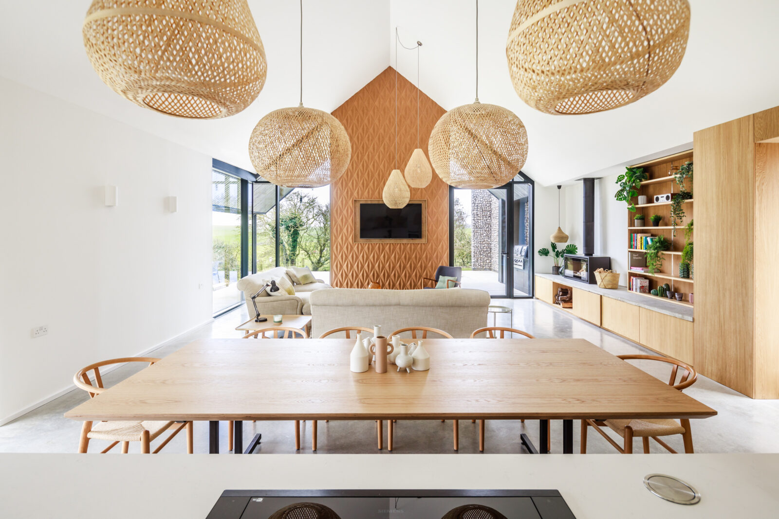 salon et cuisine ouverte décoration naturelle maison contemporaine