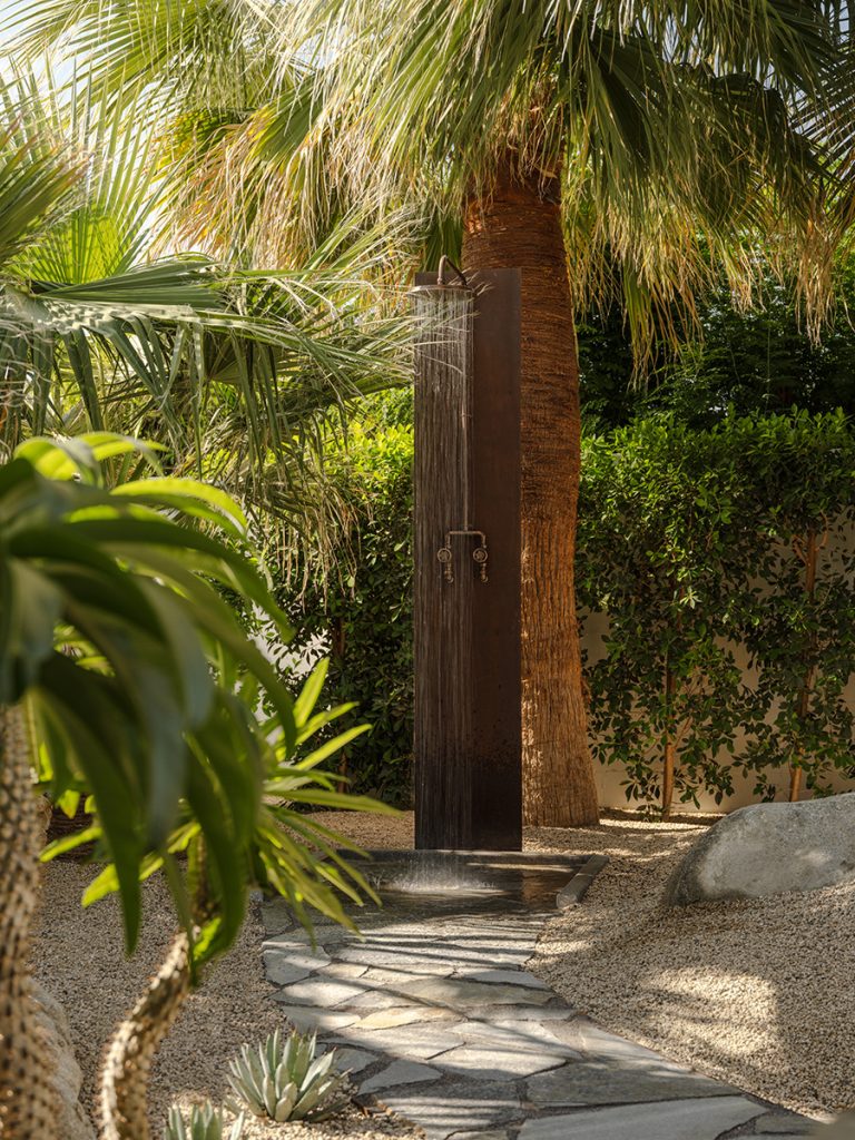 jardin avec palmiers jardin avec palmiers