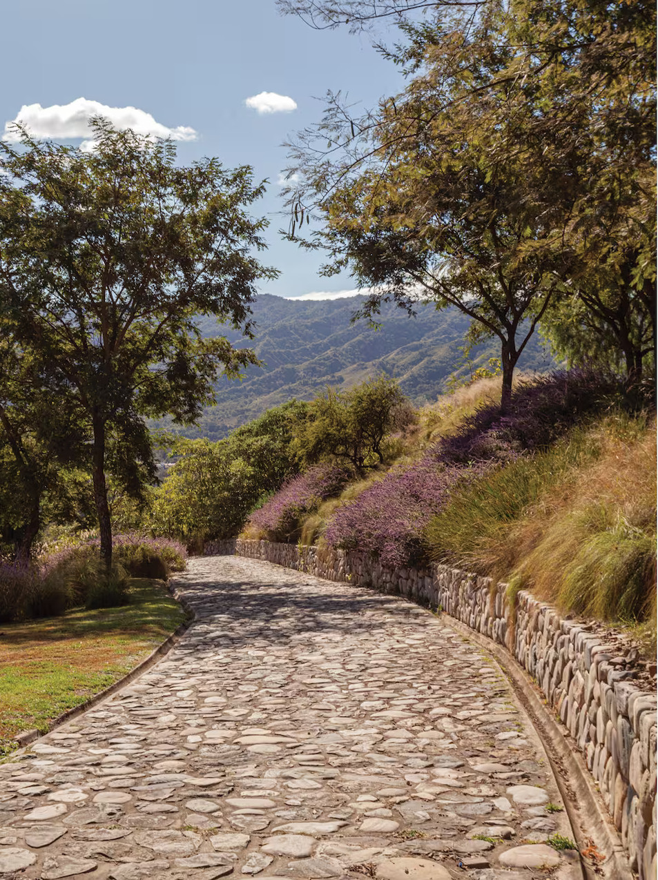 chemin pavé dans la campagne