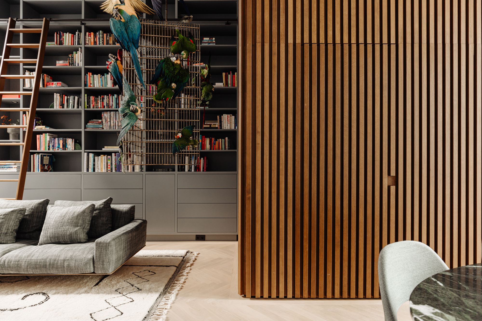 salon avec bibliothèque décoration design