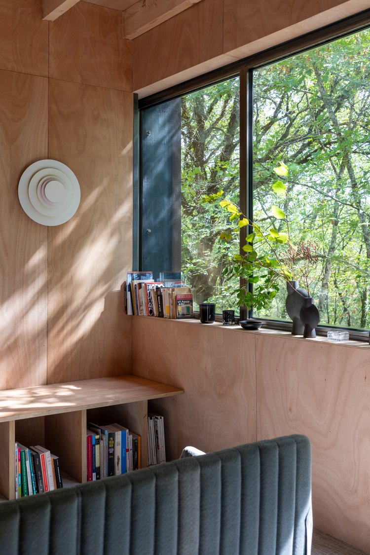 salon maison en bois contemporaine