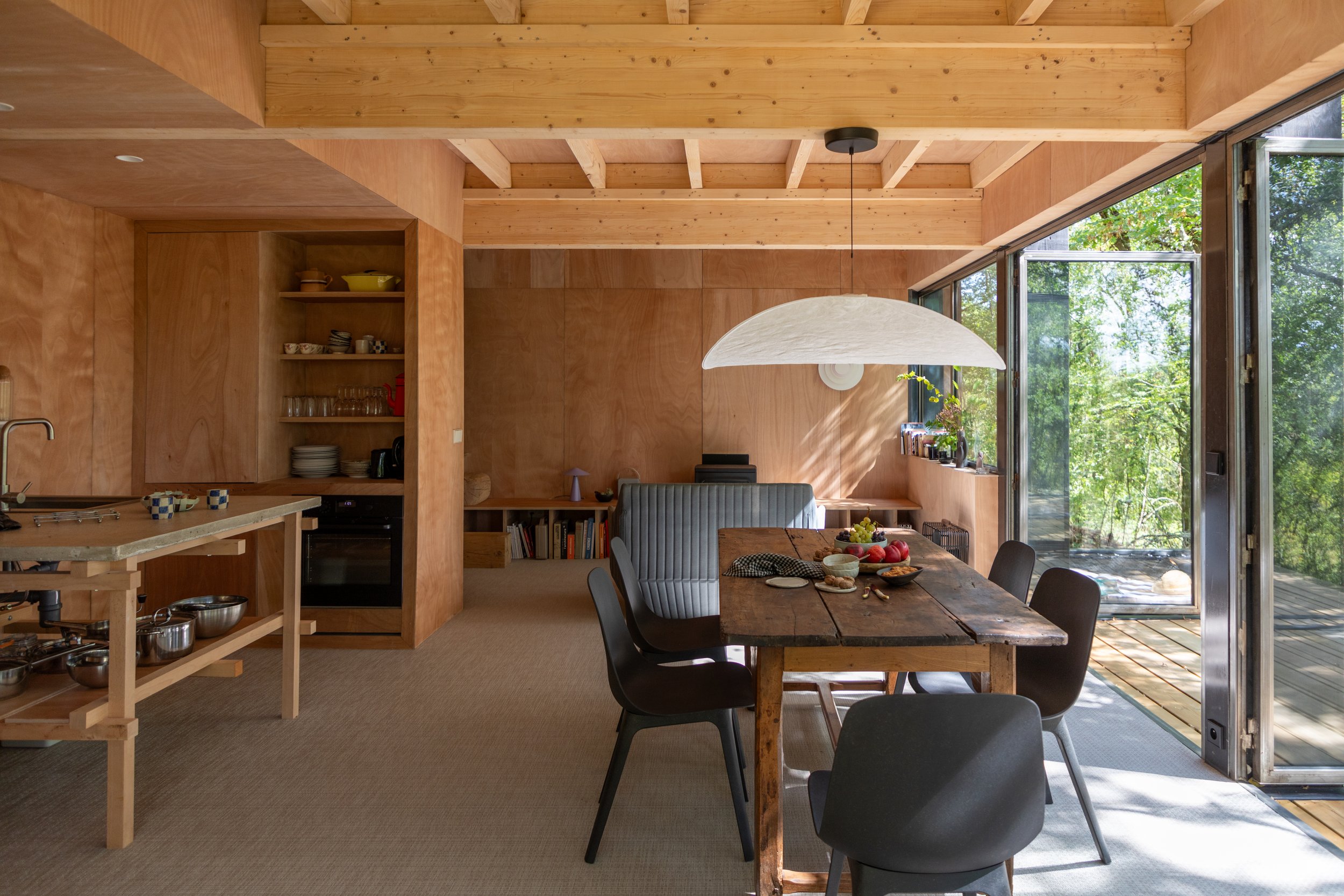 salon maison en bois contemporaine