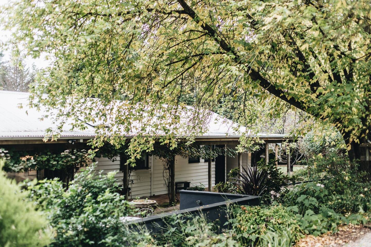 maison australienne de type lodge maison australienne de type lodge