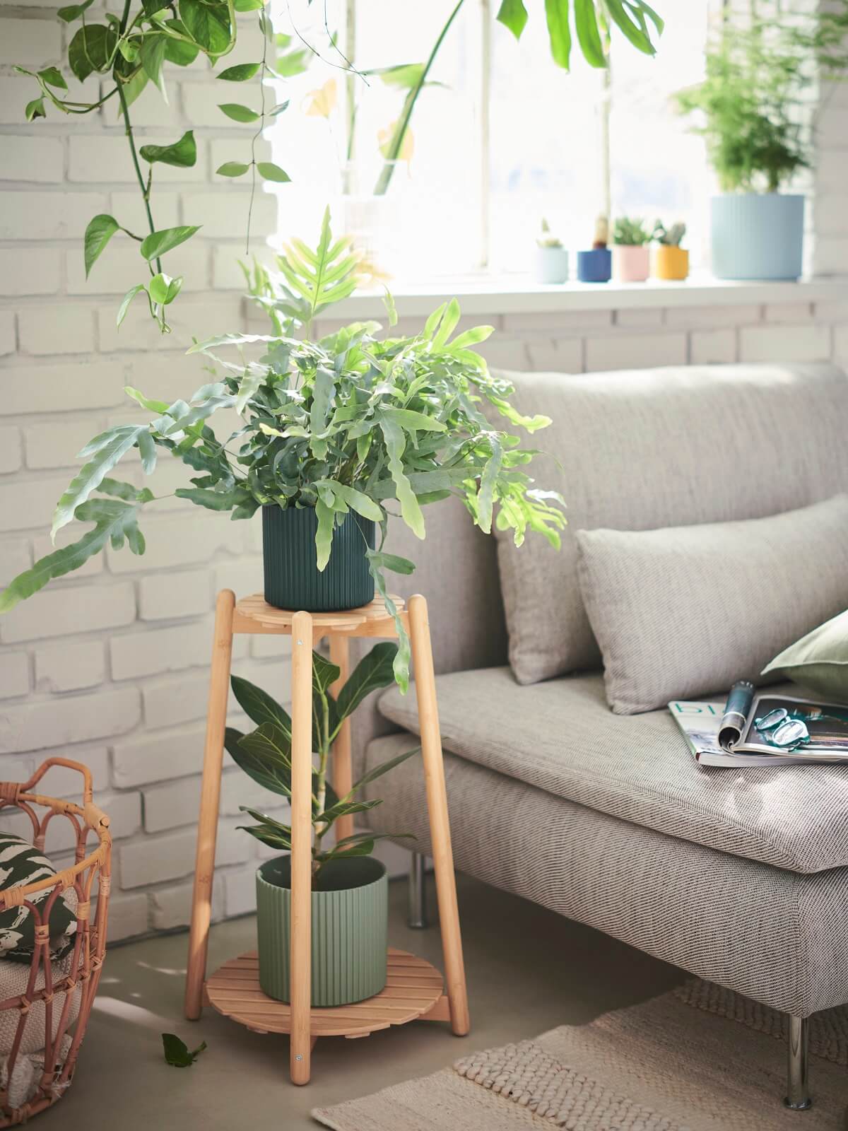 porte-plantes IKEA 2024 collection DAKSJUS plantes