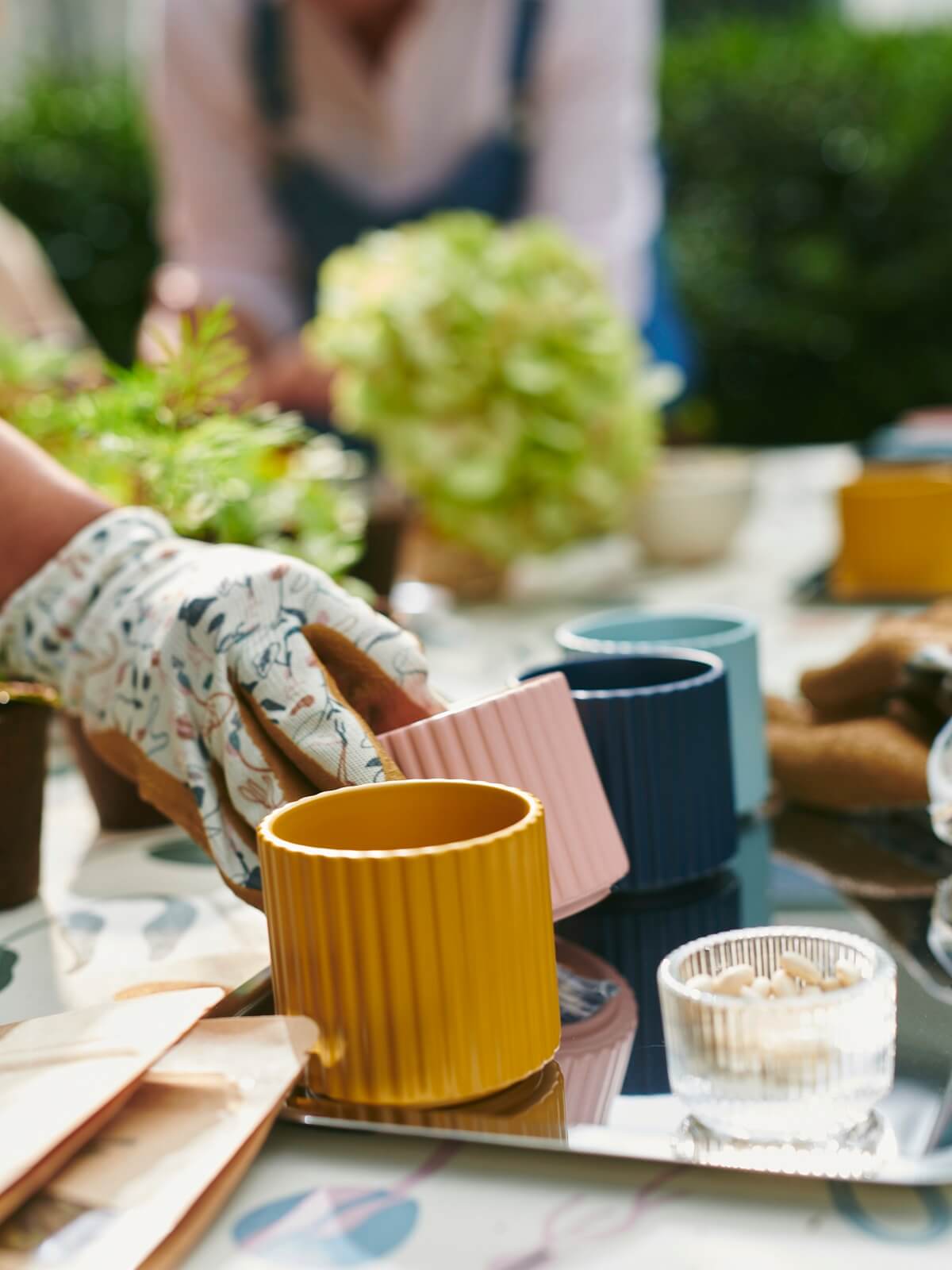 IKEA 2024 collection DAKSJUS plantes