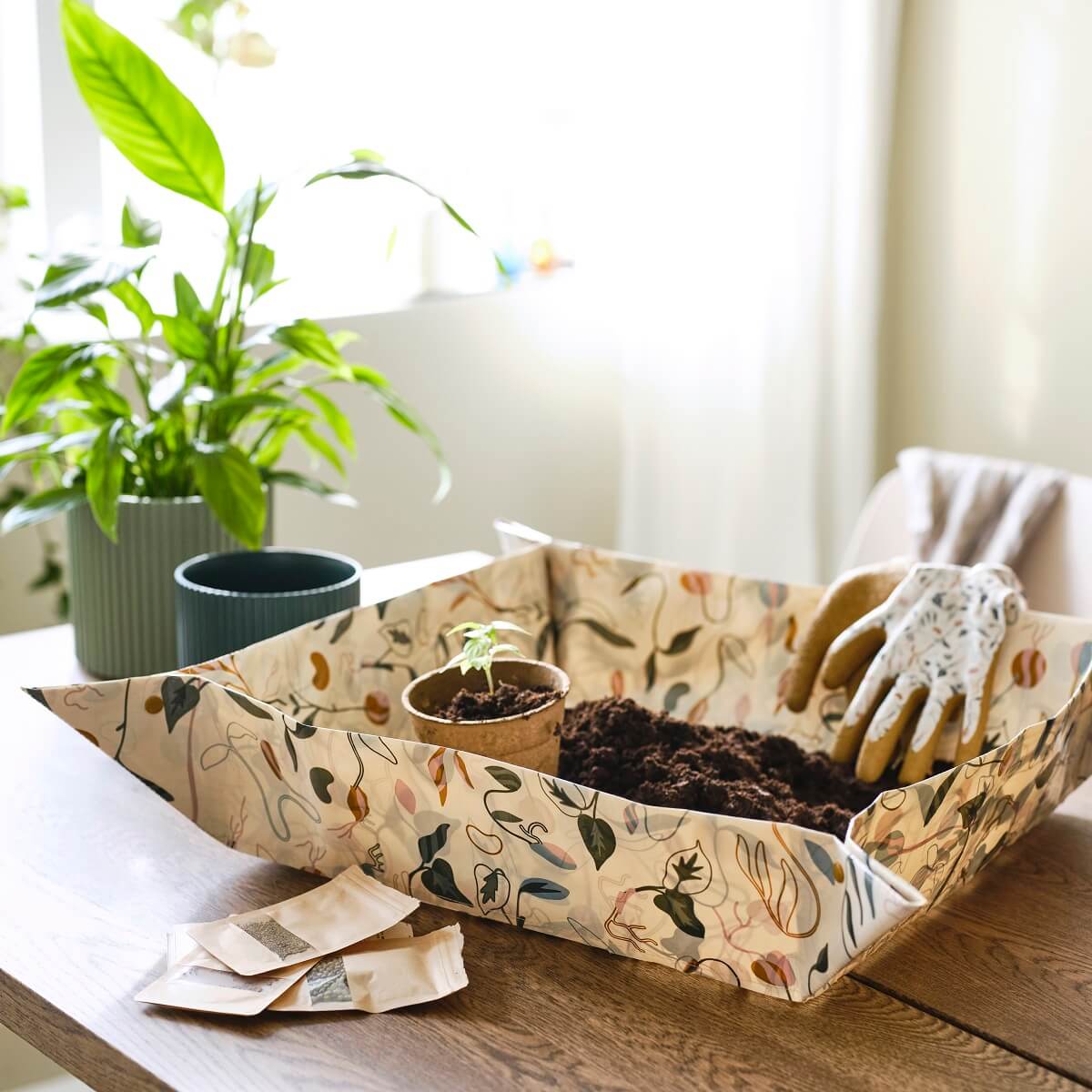 IKEA 2024 collection DAKSJUS plantes