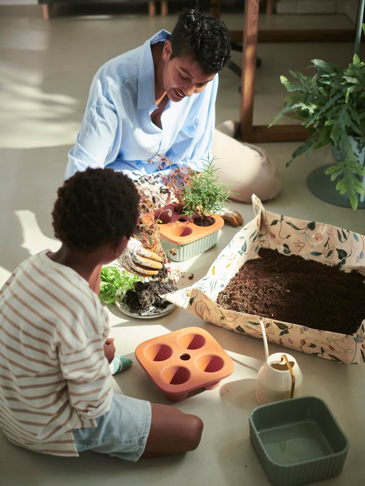 IKEA 2024 collection DAKSJUS plantes