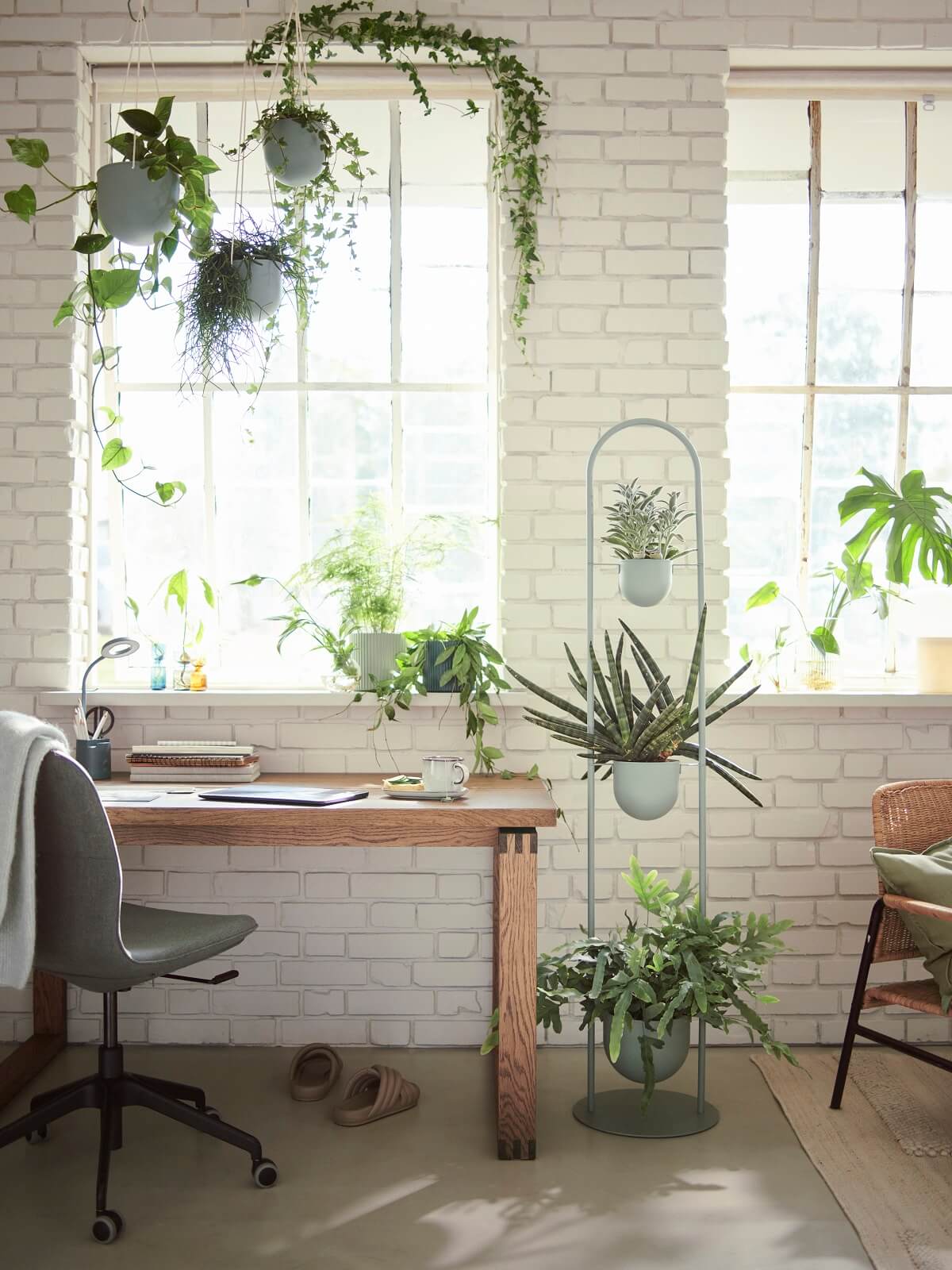 IKEA 2024 collection DAKSJUS plantes