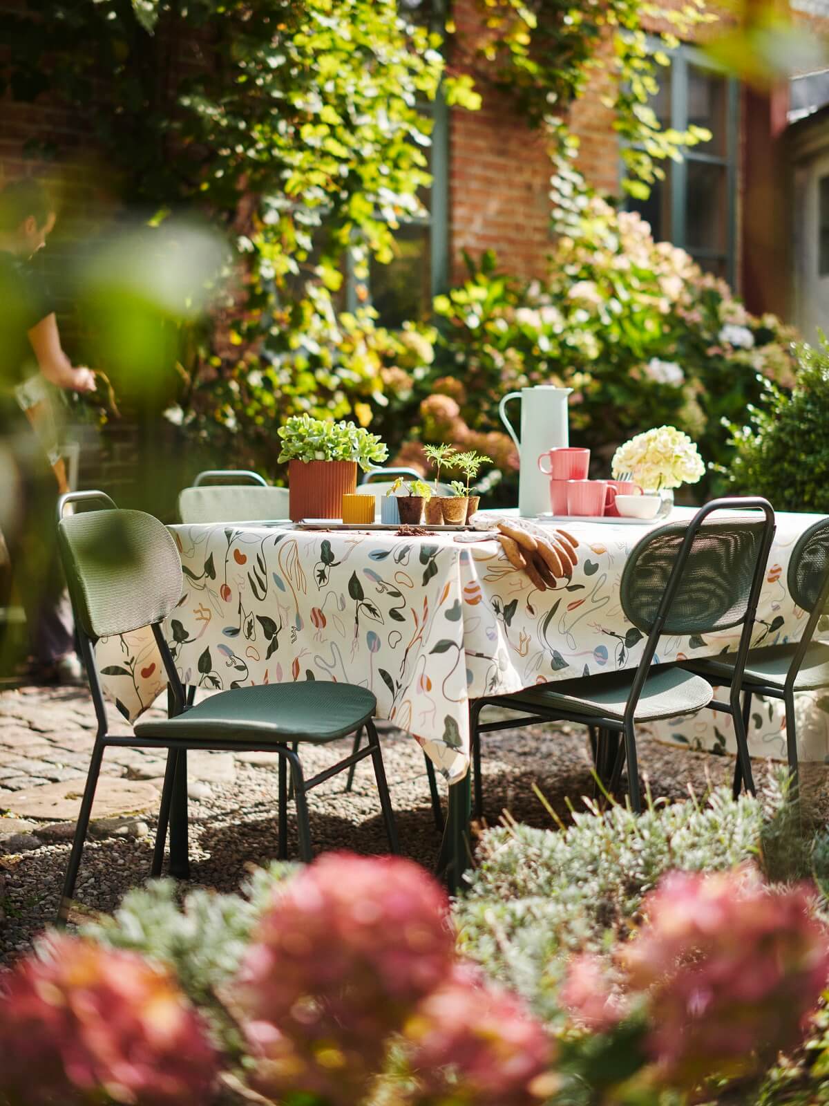 IKEA 2024 collection DAKSJUS plantes
