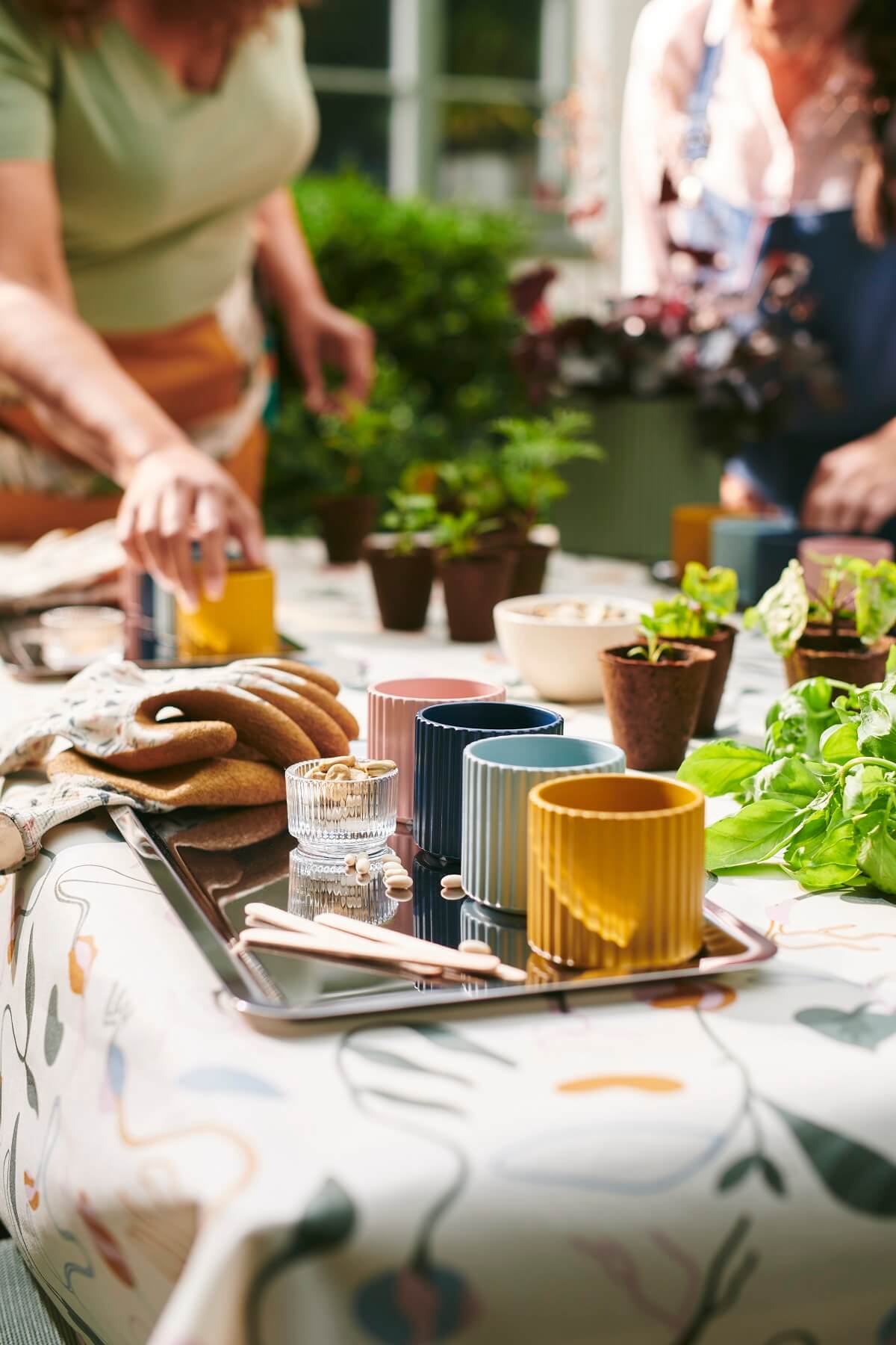 IKEA 2024 collection DAKSJUS plantes