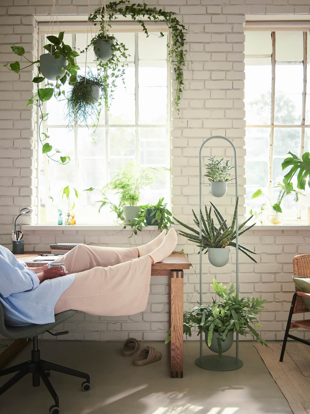 IKEA 2024 collection DAKSJUS plantes