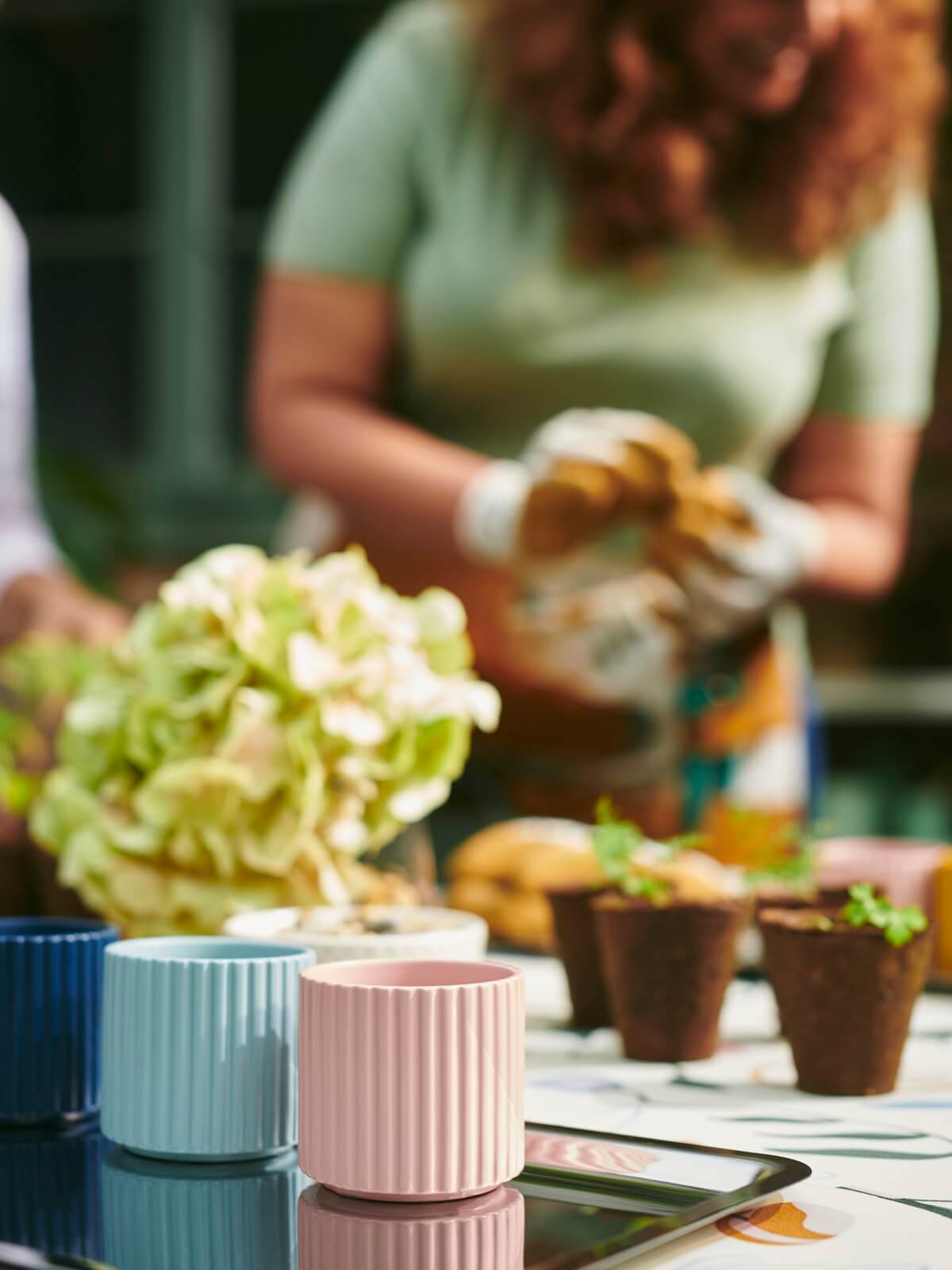 IKEA 2024 collection DAKSJUS plantes