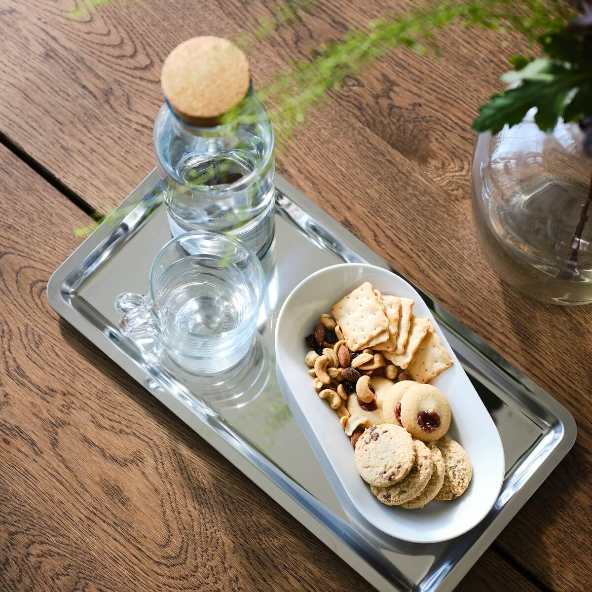 IKEA 2024 collection DAKSJUS plantes