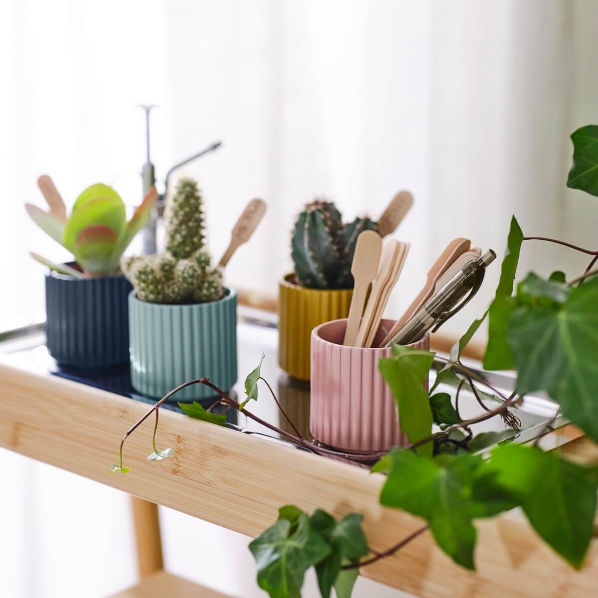 IKEA 2024 collection DAKSJUS plantes