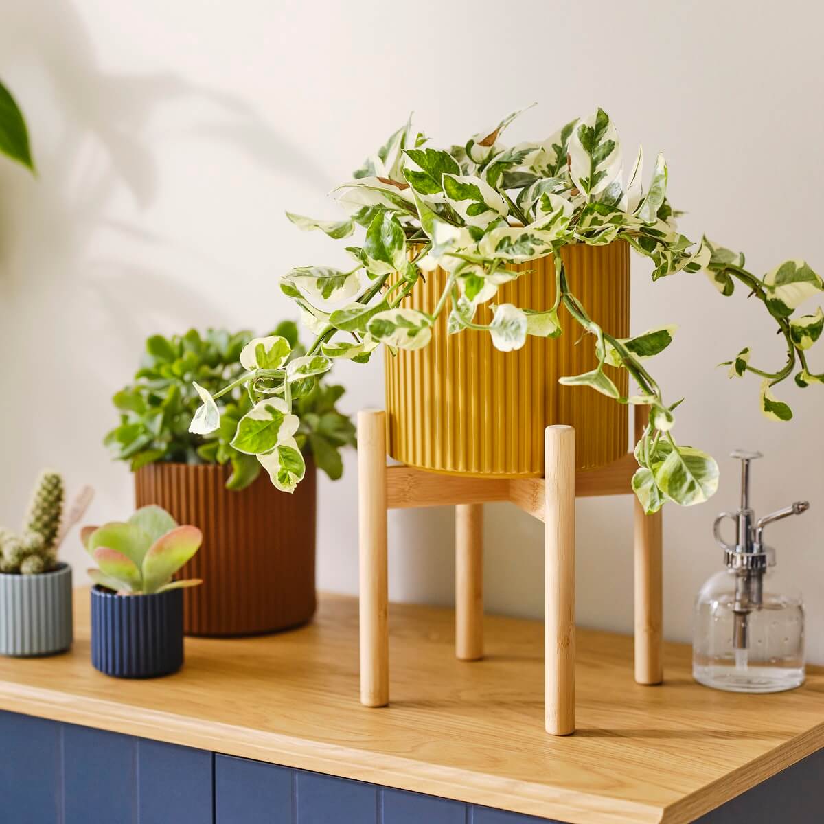 IKEA 2024 collection DAKSJUS plantes