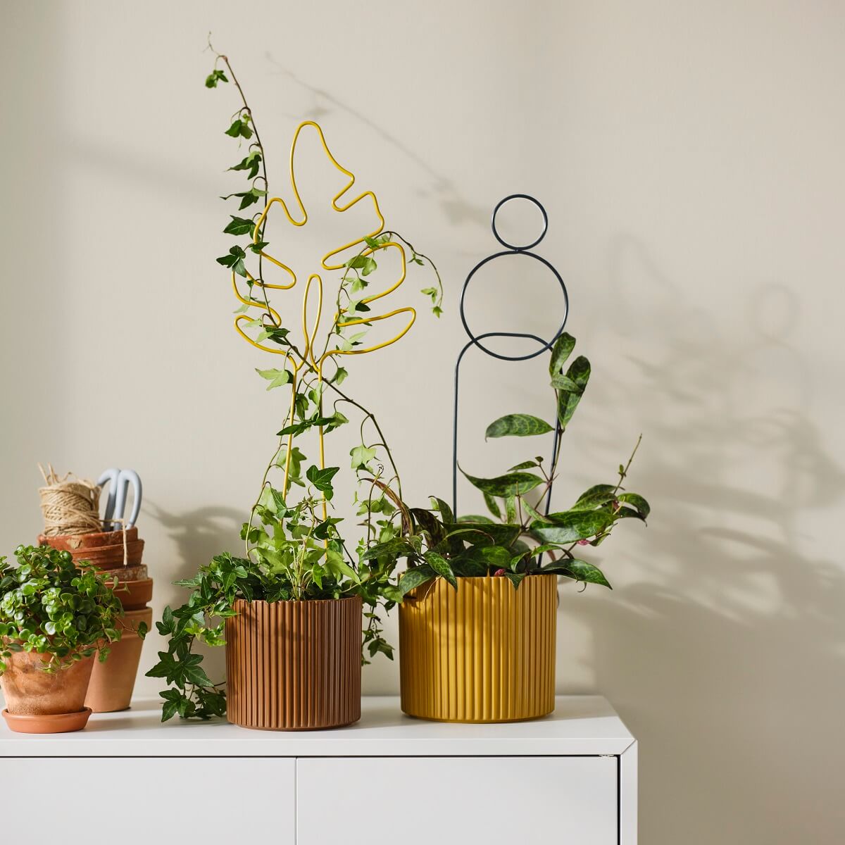 IKEA 2024 collection DAKSJUS plantes