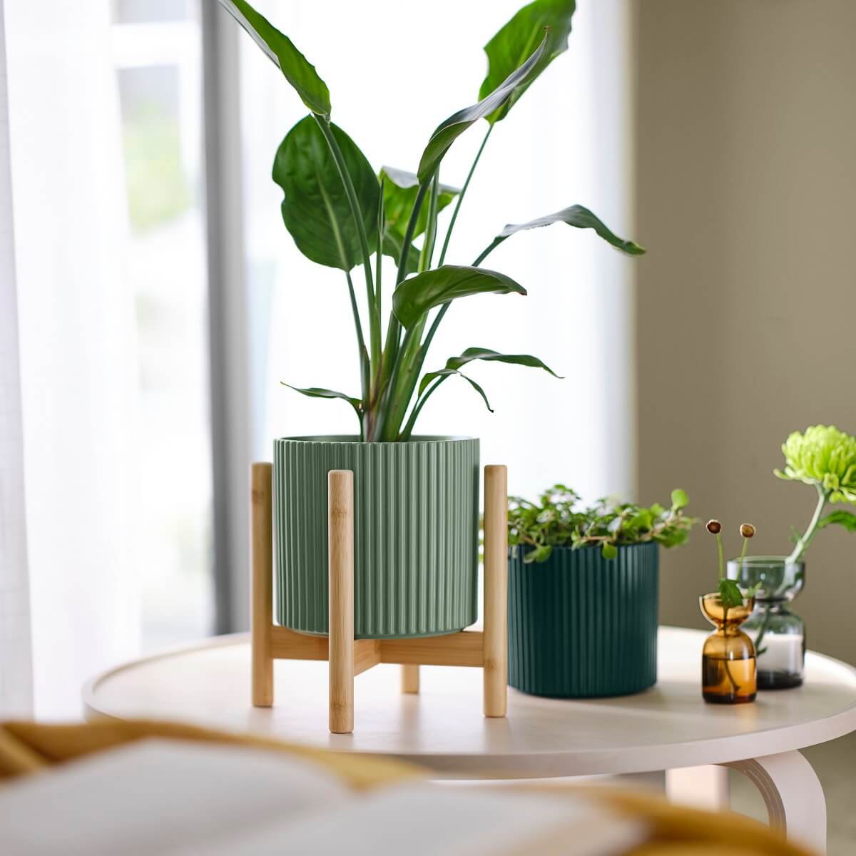 IKEA 2024 collection DAKSJUS plantes