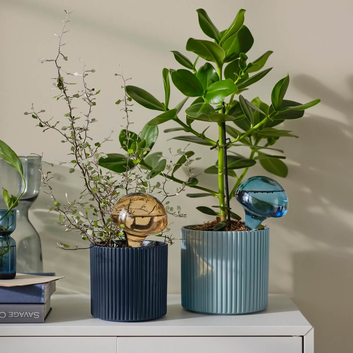 IKEA 2024 collection DAKSJUS plantes