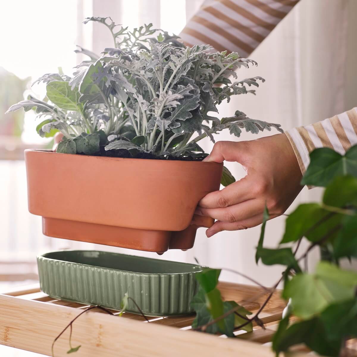 pot plantes IKEA 2024 collection DAKSJUS plantes