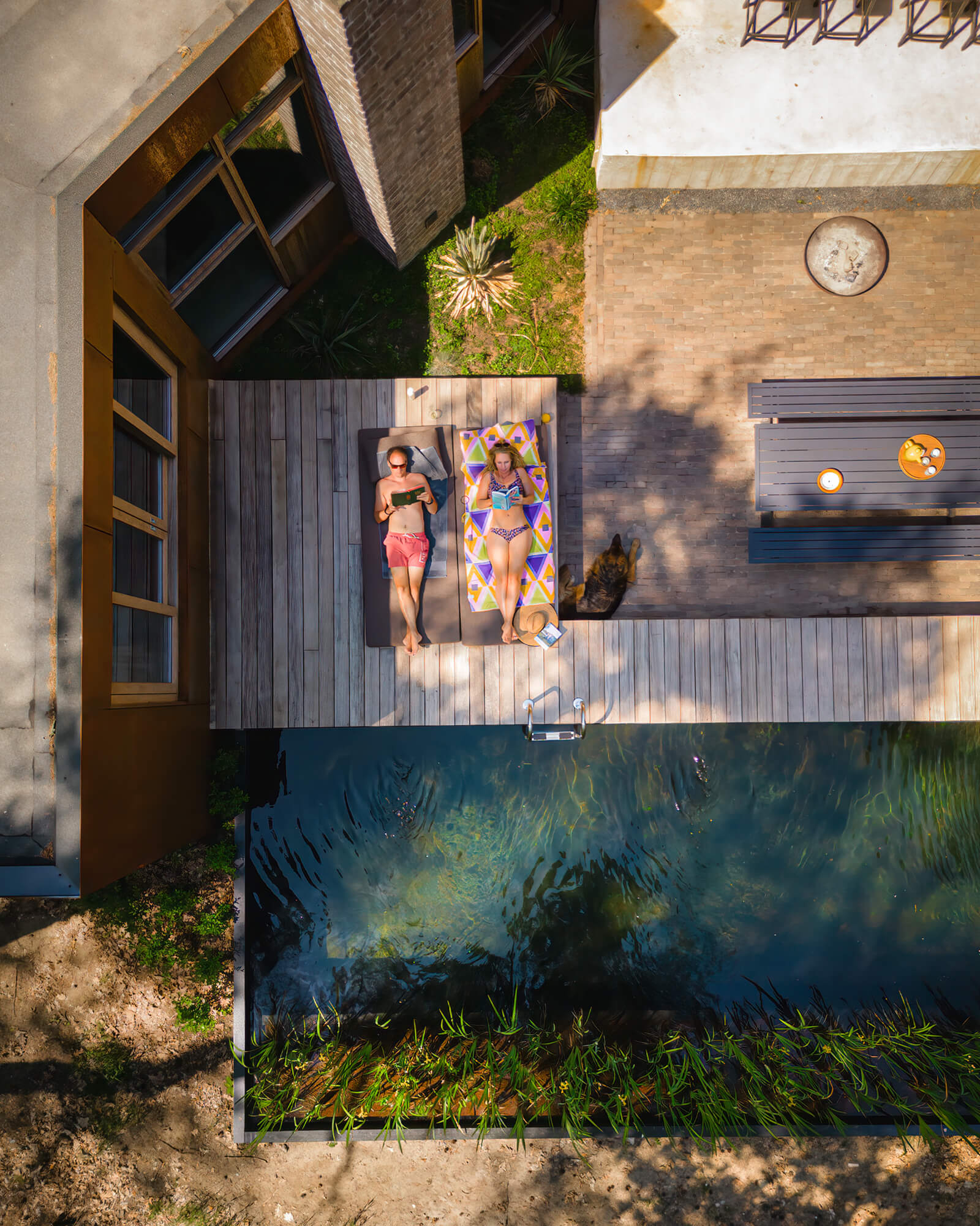 maison contemporaine intérieur bois avec piscine naturelle