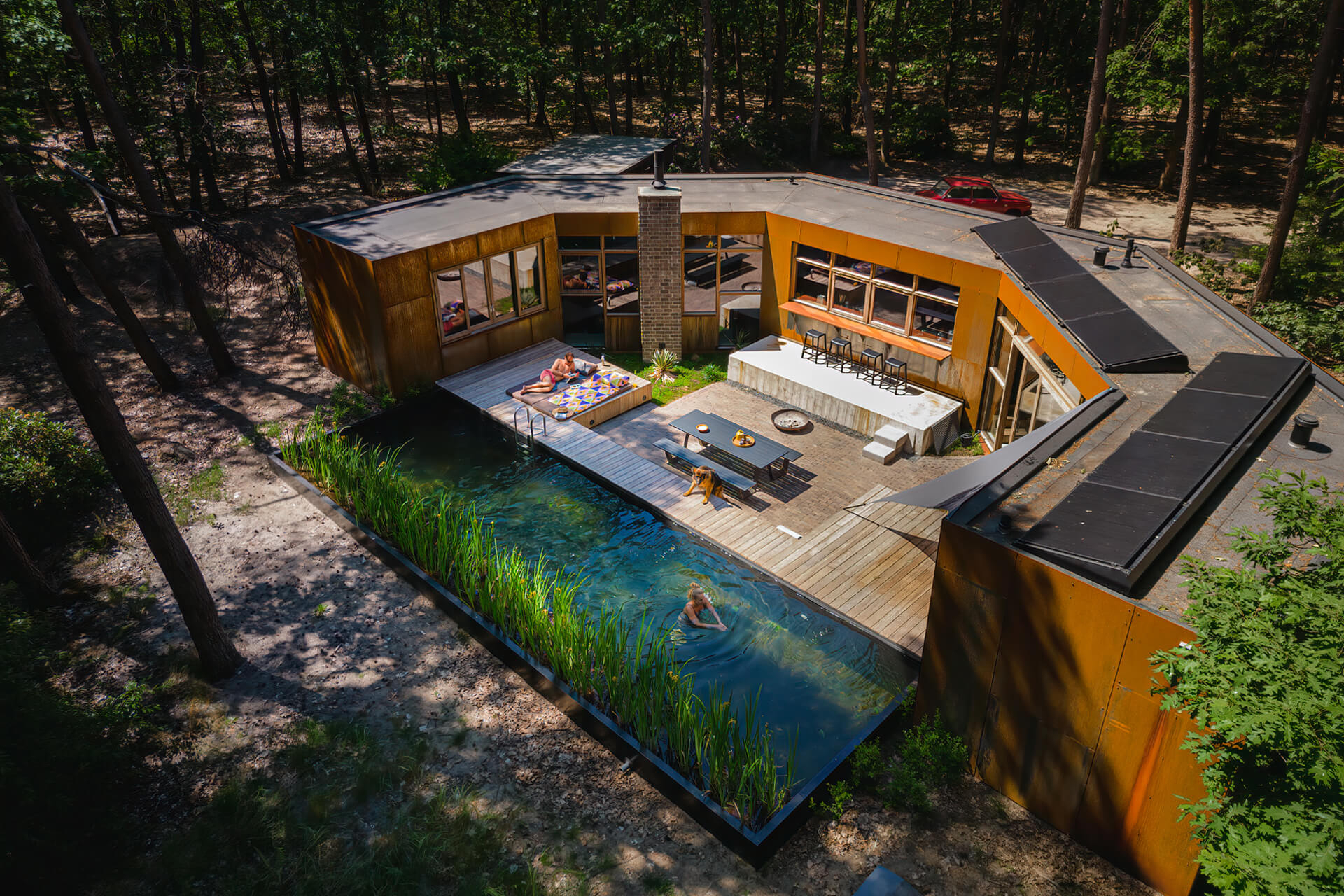 maison contemporaine intérieur bois avec piscine naturelle