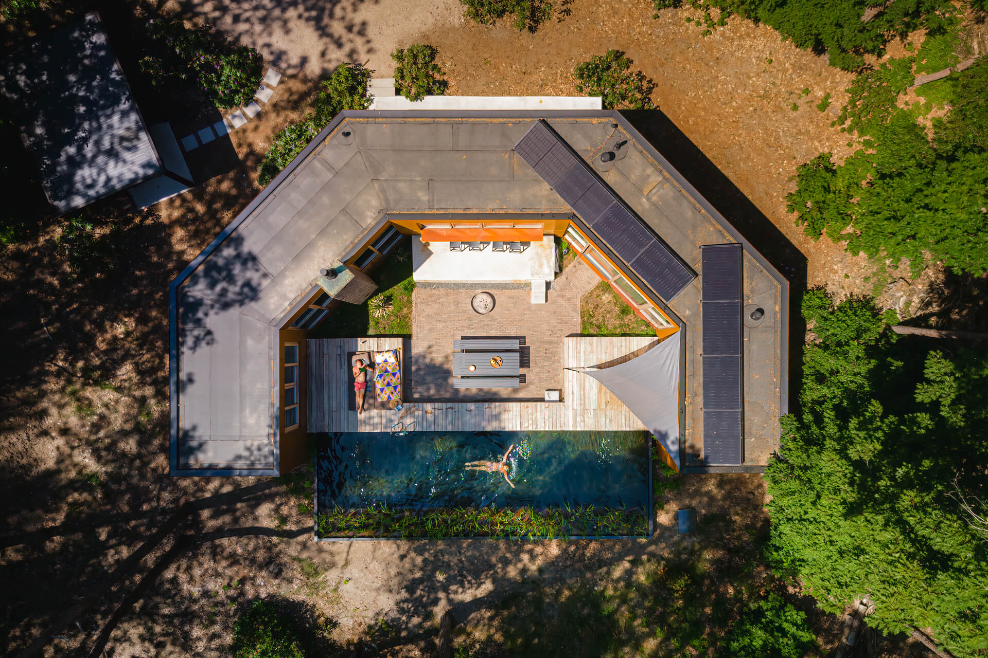 maison contemporaine intérieur bois avec piscine naturelle