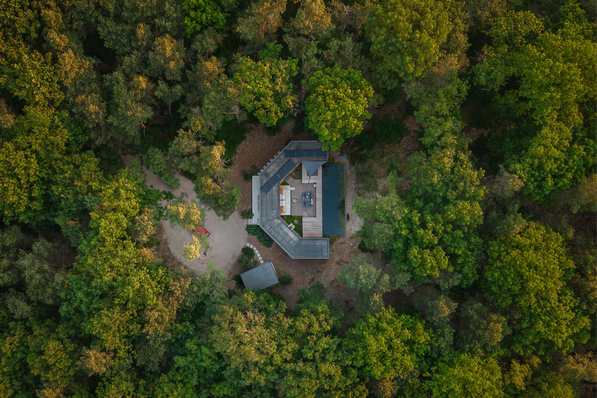 maison contemporaine intérieur bois avec piscine naturelle