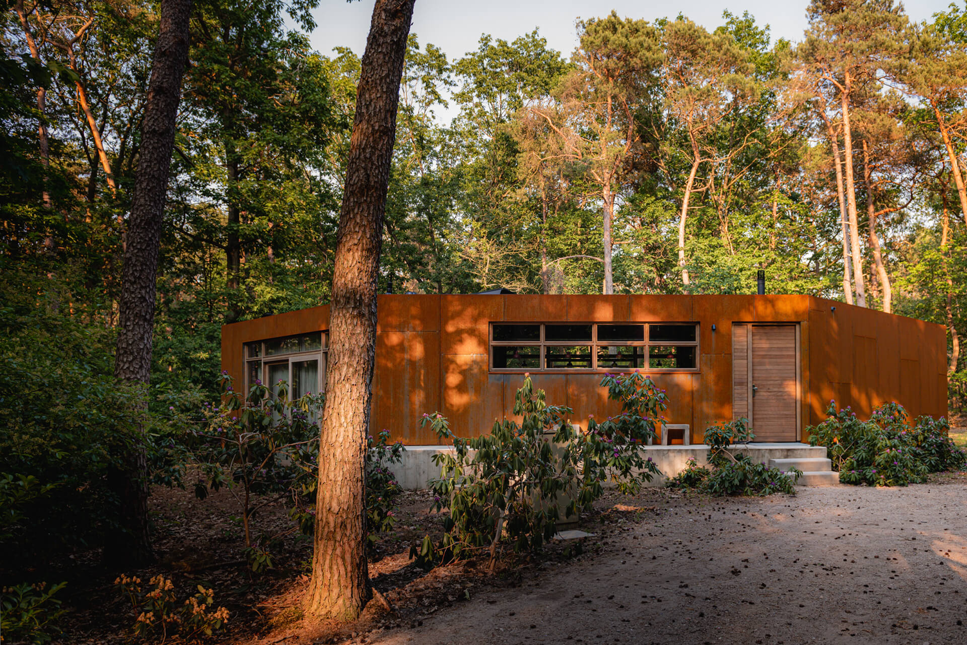 maison contemporaine intérieur bois avec piscine naturelle