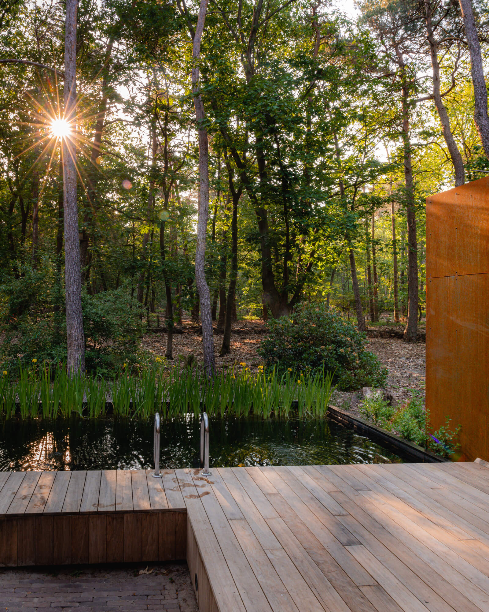 maison contemporaine intérieur bois avec piscine naturelle