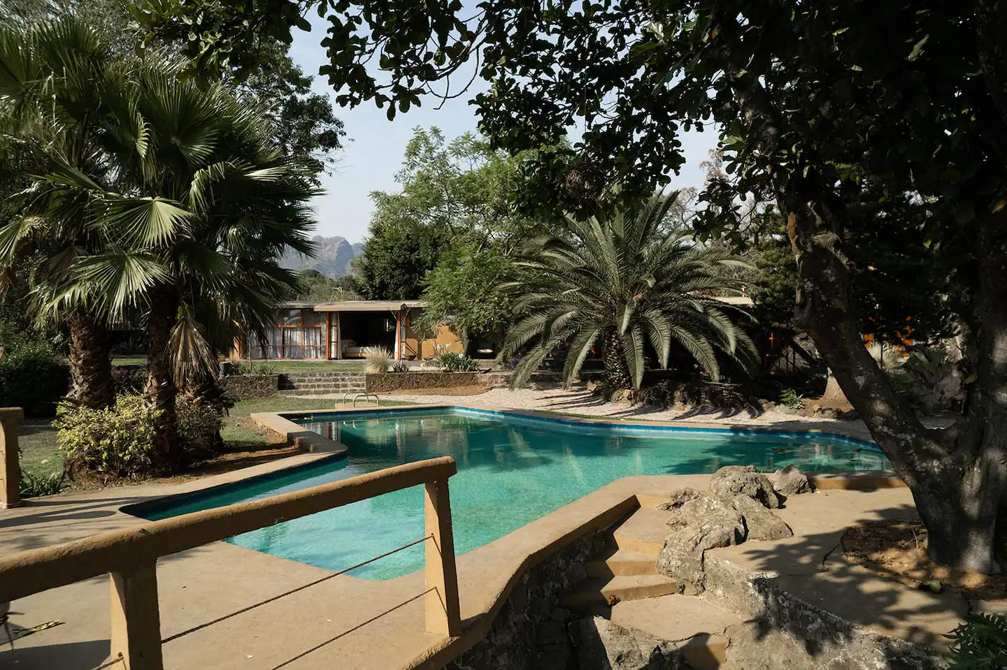 jardin maison en bois Casa Chavela
