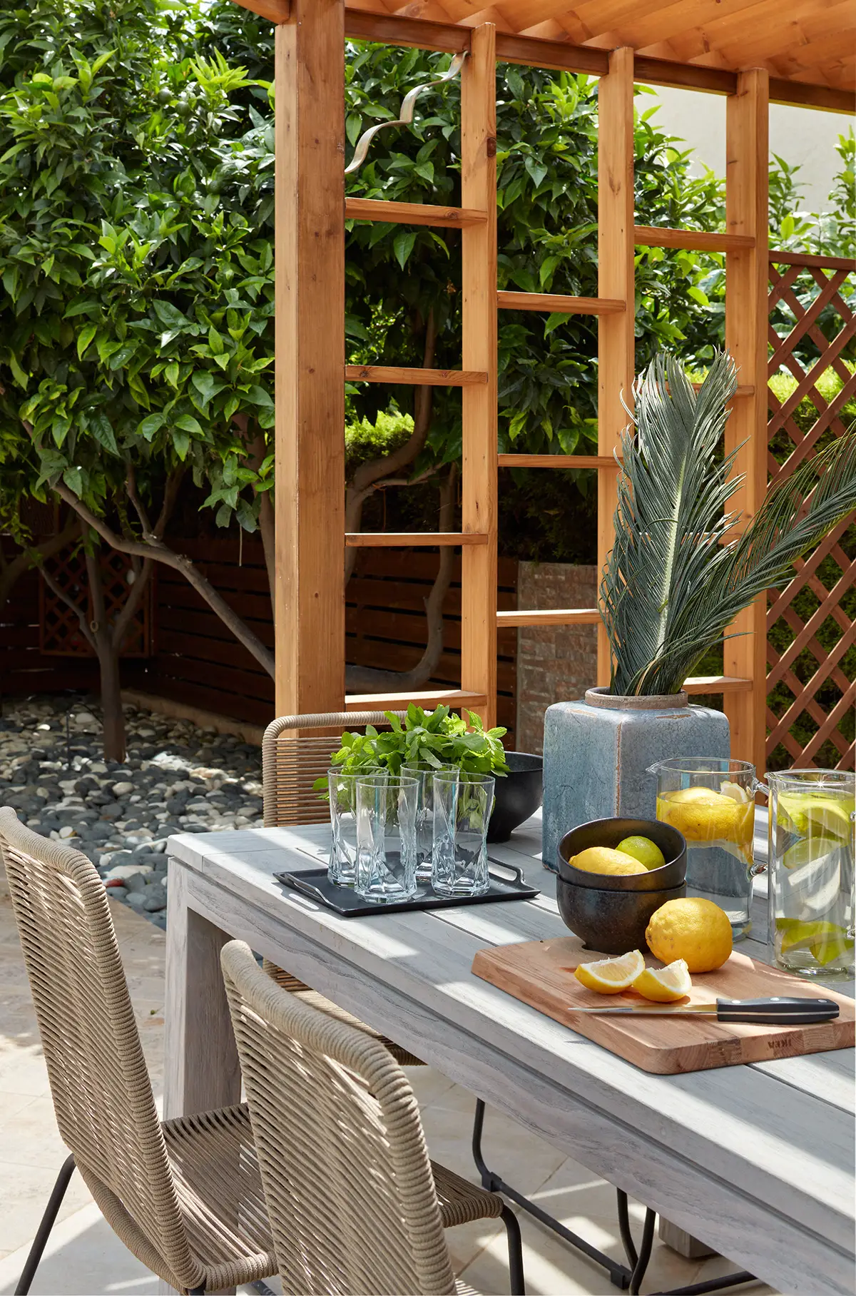 terrasse avec pergola bois