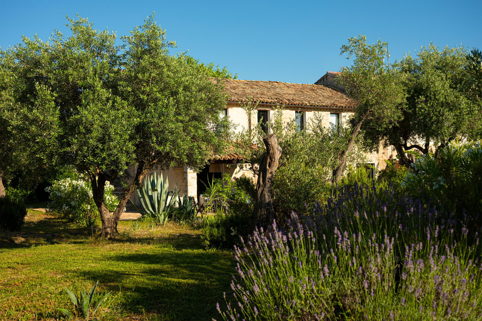maison en pierres avec piscine Villa Mundi maison en pierres avec piscine Villa Mundi
