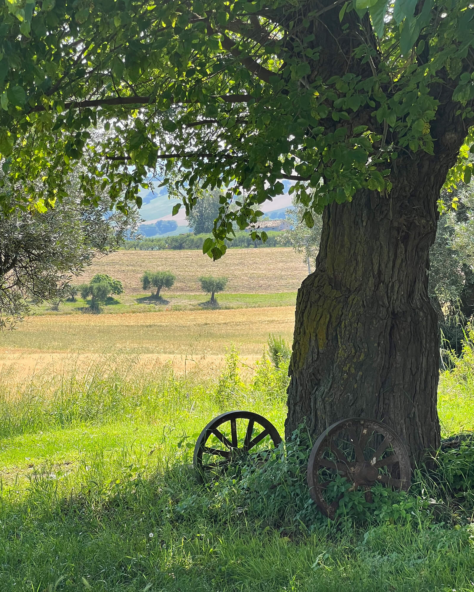 paysage Italie paysage Italie