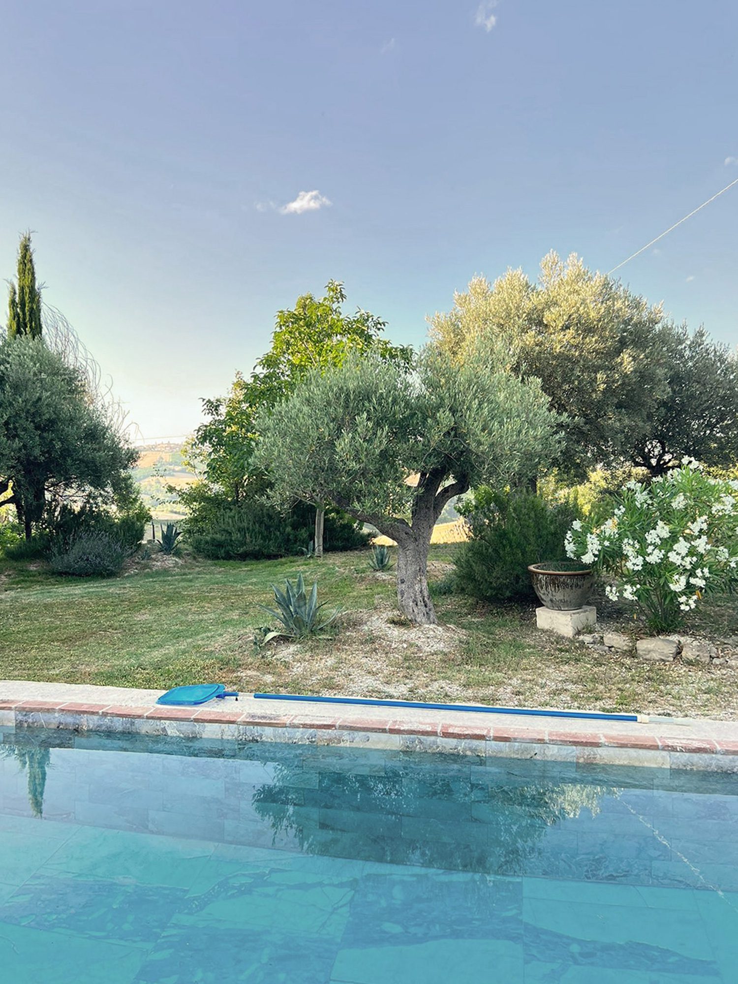 jardin avec piscine jardin avec piscine