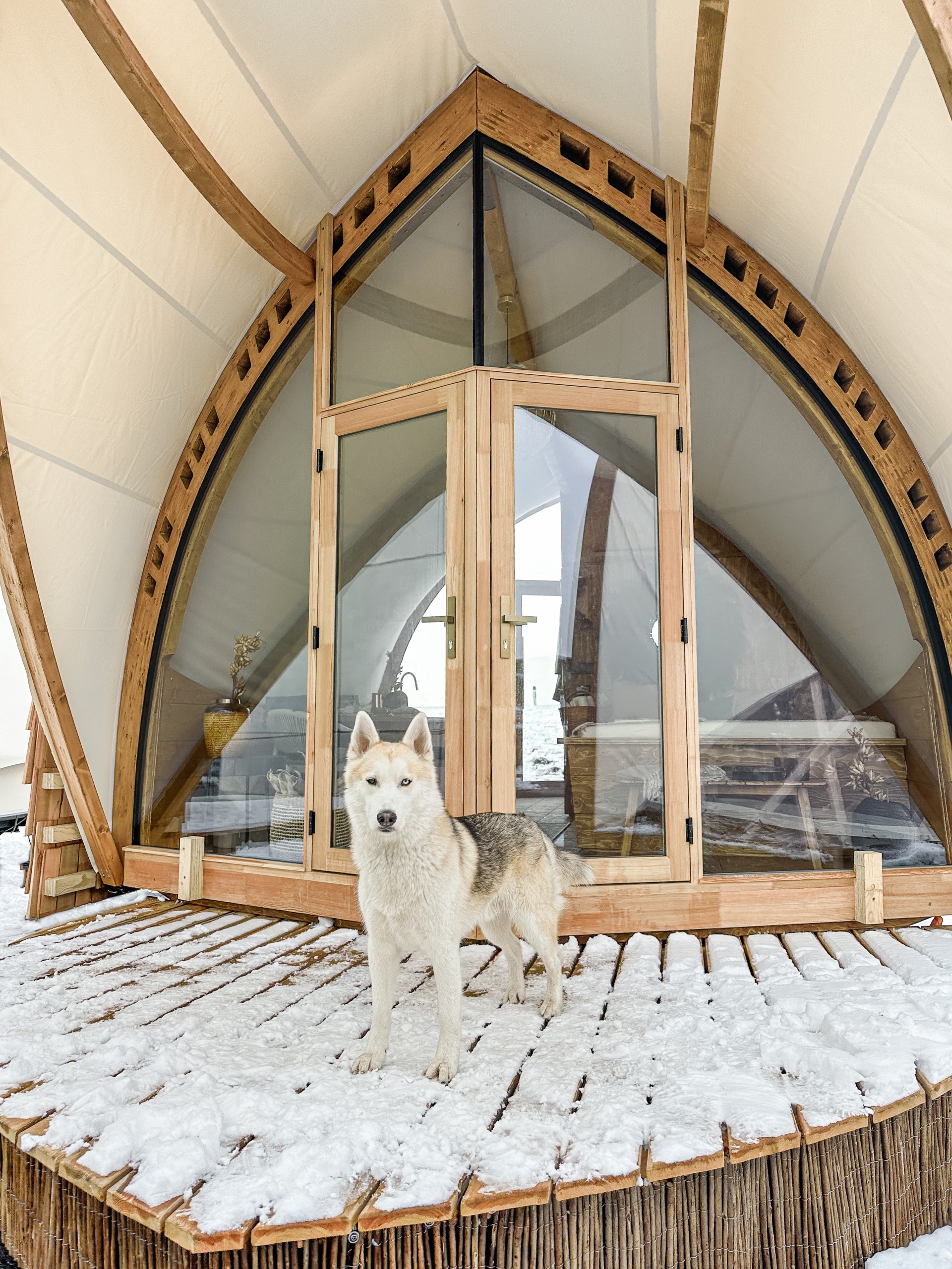mini maison 16m2 mini chalet en bois