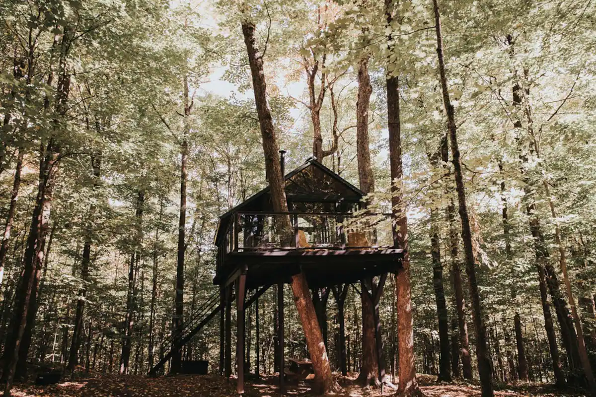 cabane dans les arbres