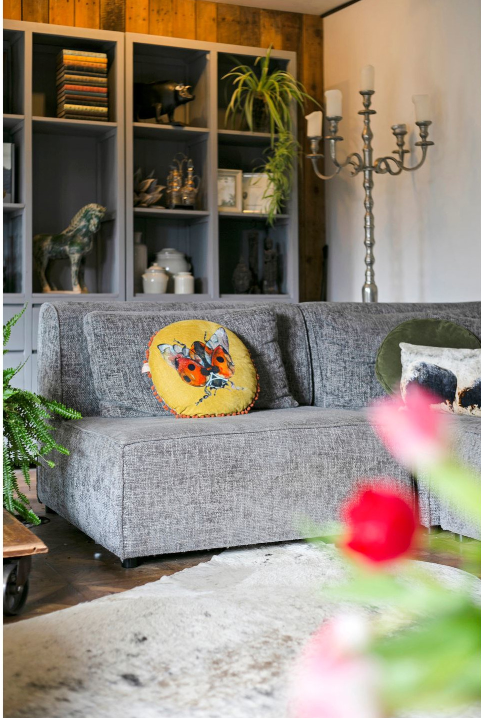 salon maison contemporaine