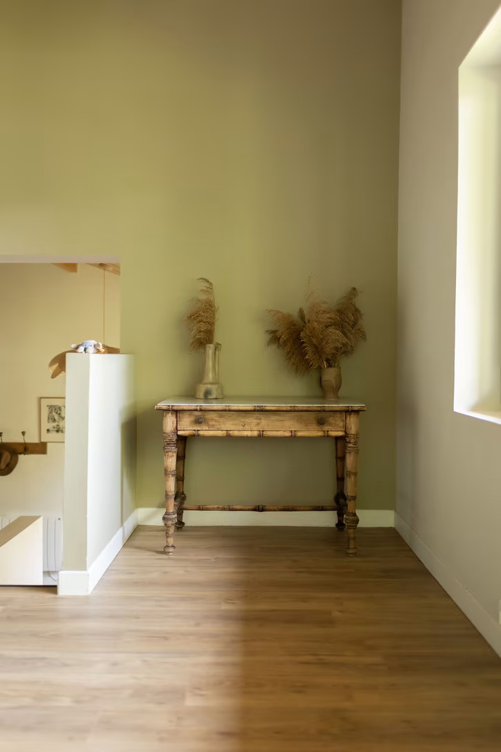 salon mur vert