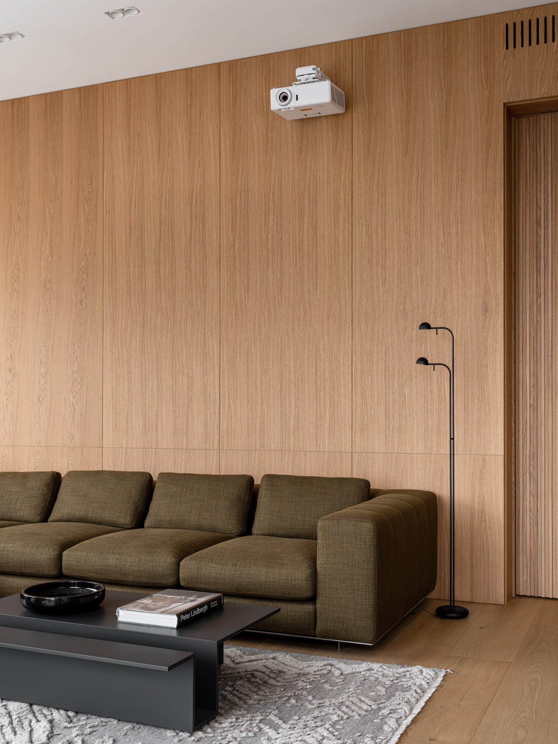 salon avec home cinema