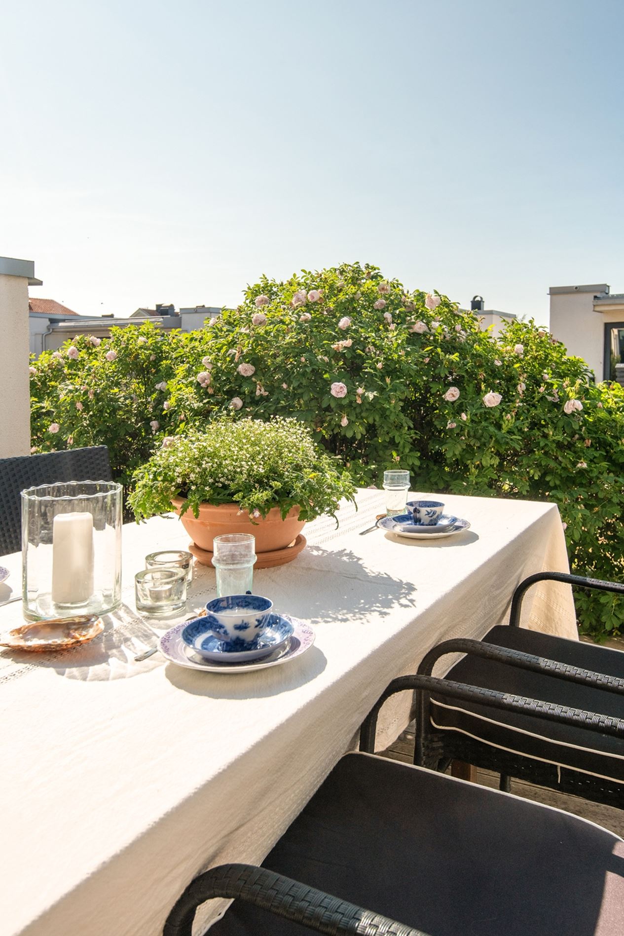 terrasse terrasse