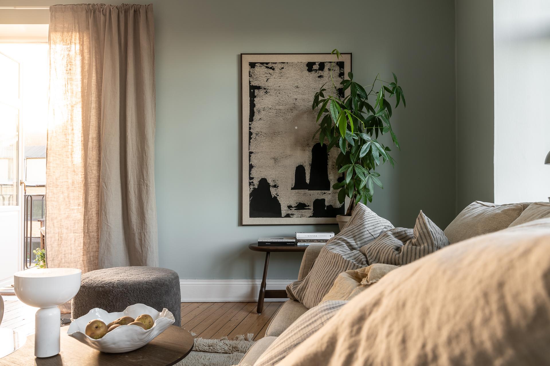 salon murs verts
