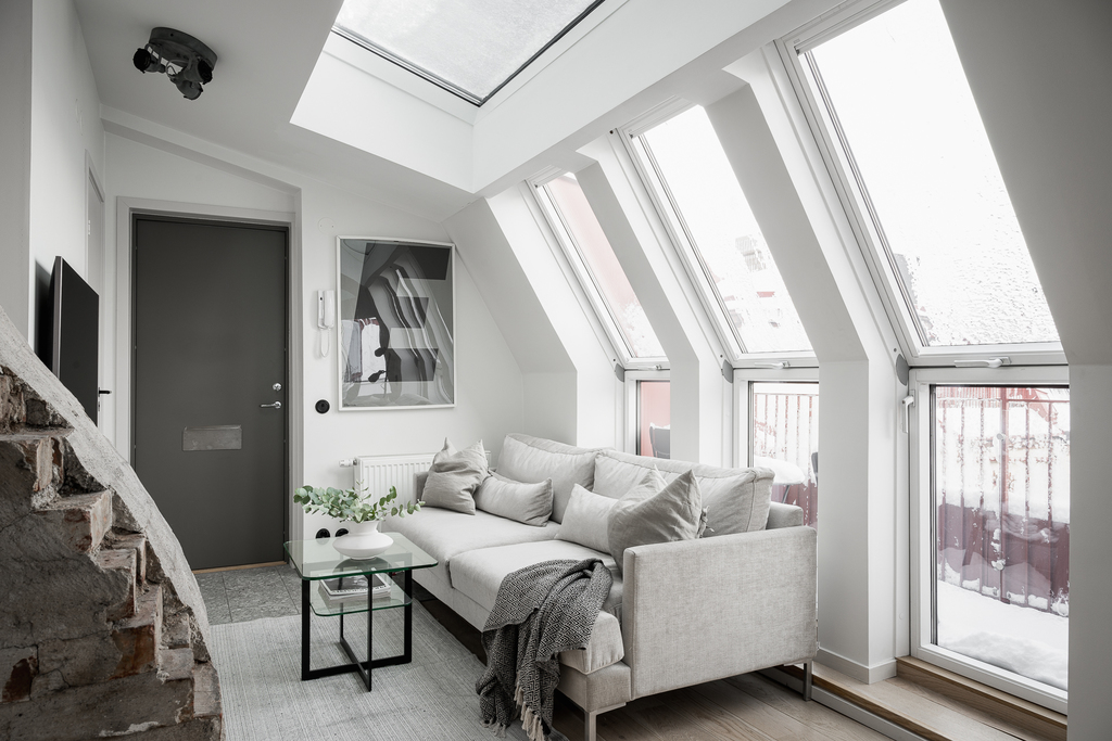 salon avec velux deux-pièces 35m2 mansardé décoration design
