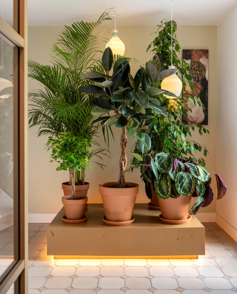salon avec plantes vertes