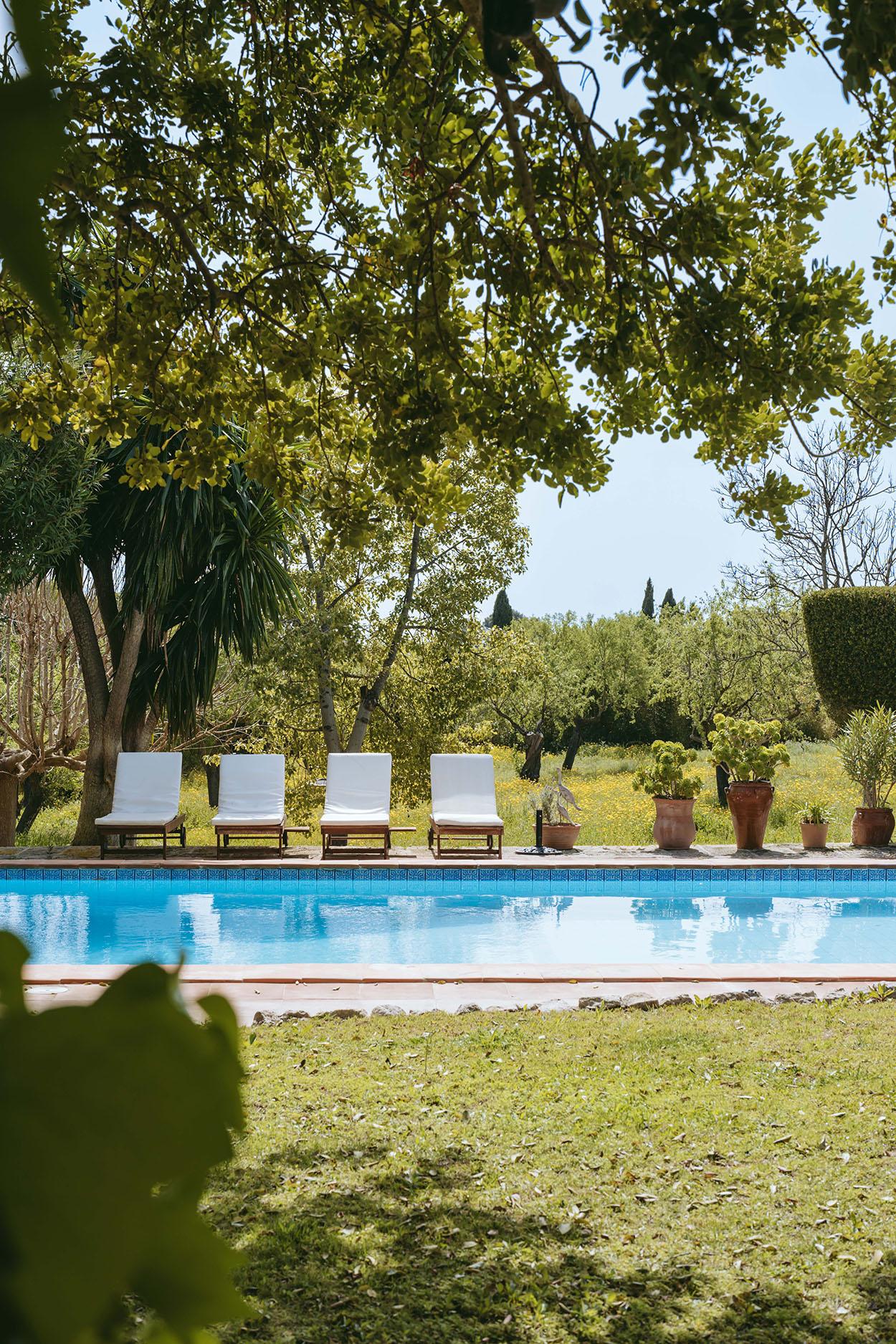 jardin avec piscine