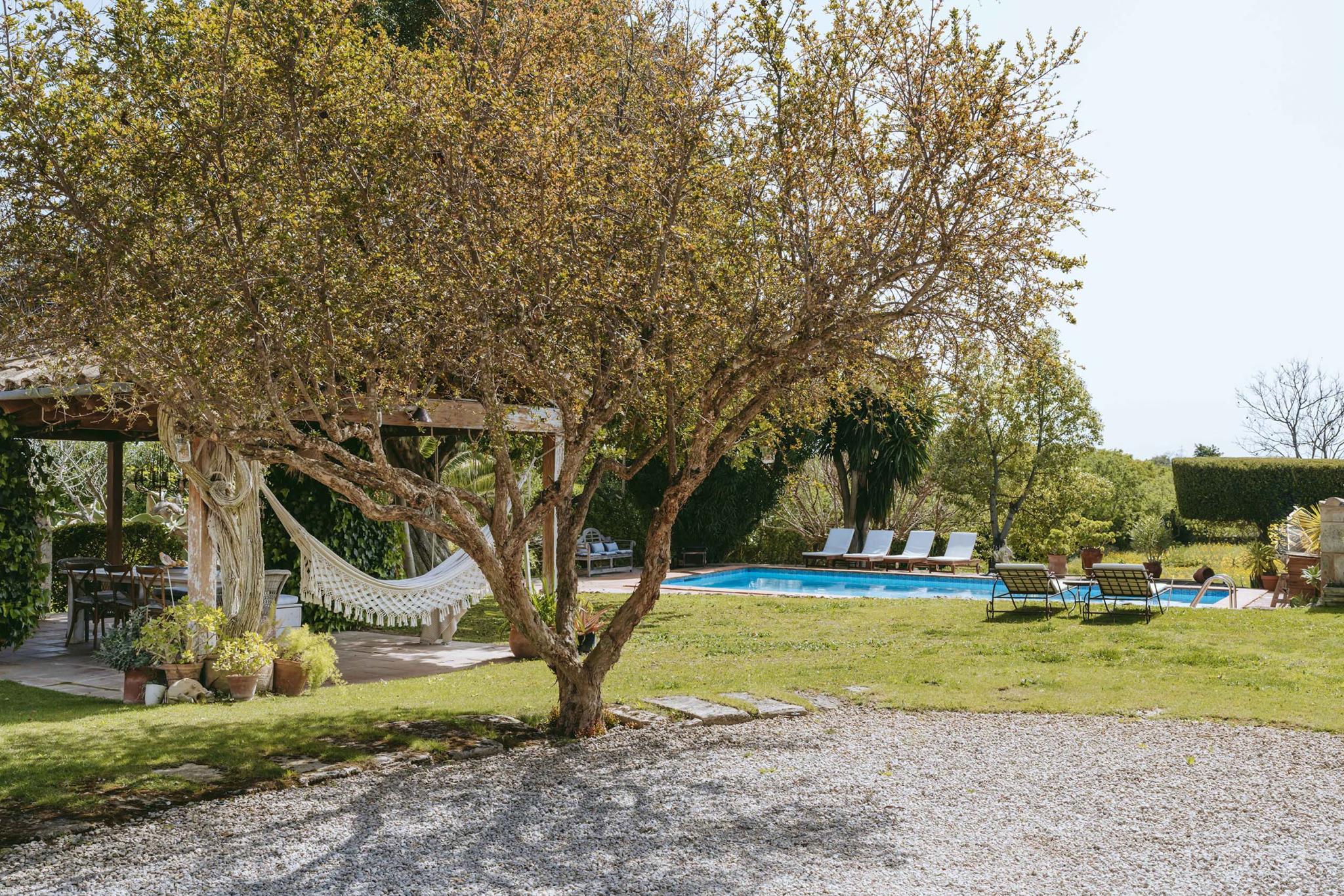 jardin avec piscine et pergola maison en pierres
