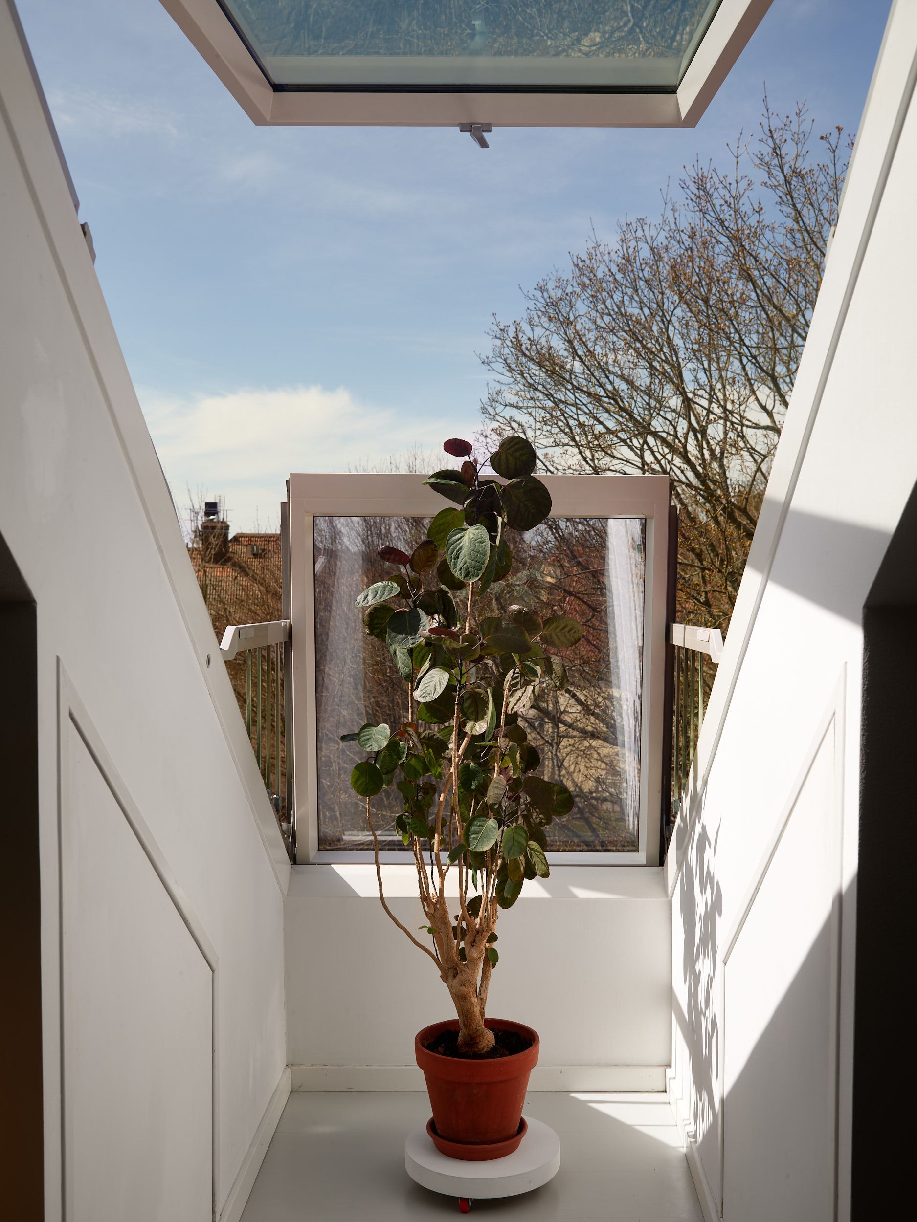 fenêtre de toit balcon