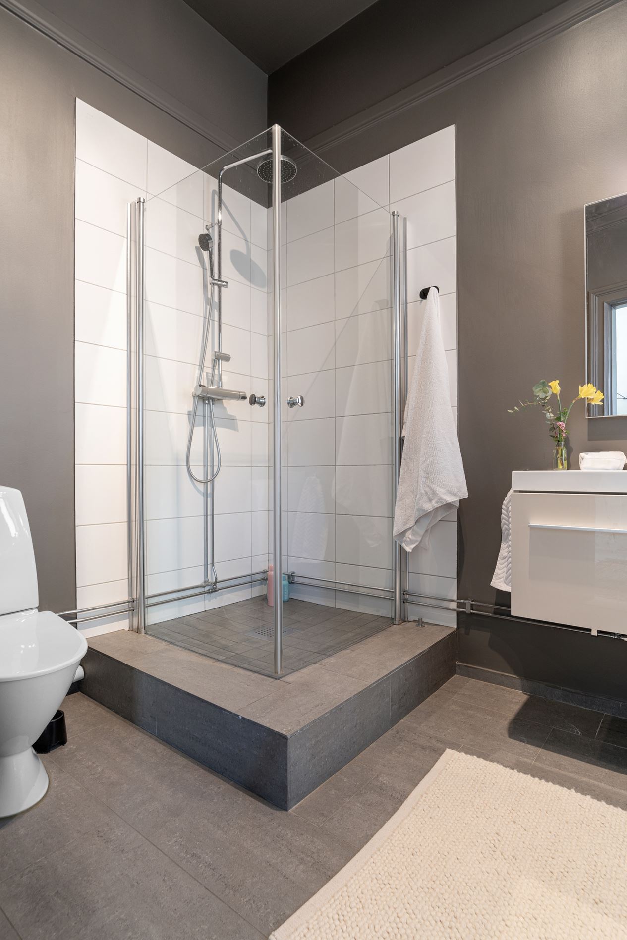 salle d salle d'eau design