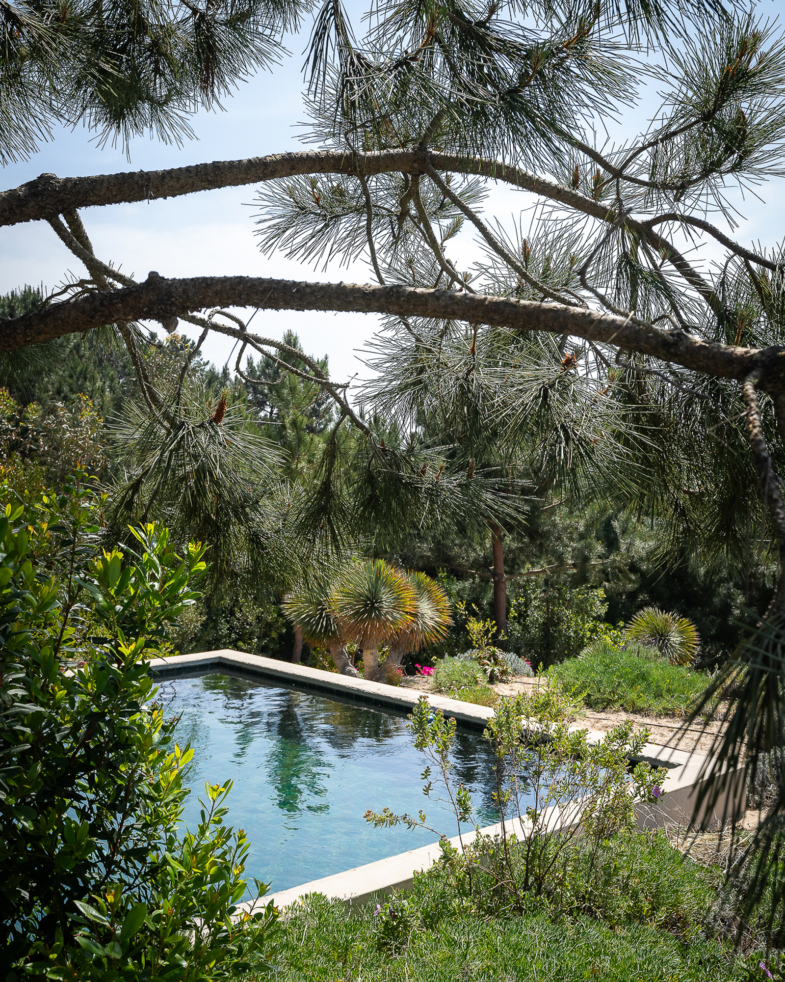 jardin avec piscine maison Comporta